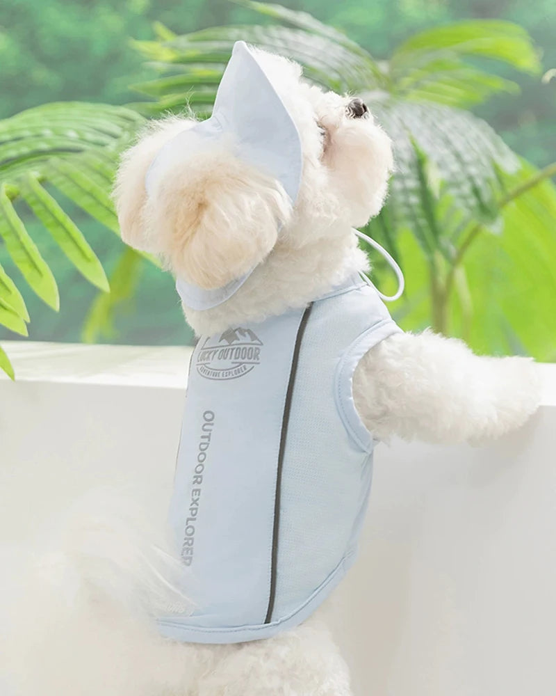 Gilet rafraîchissant avec casquette - chien ou chat