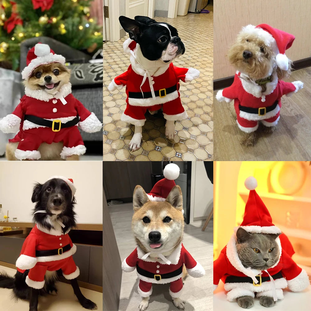 Tenue Père Noël pour chien & chat