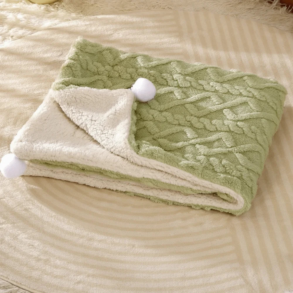 Plaid Cocooning Chat & Chien