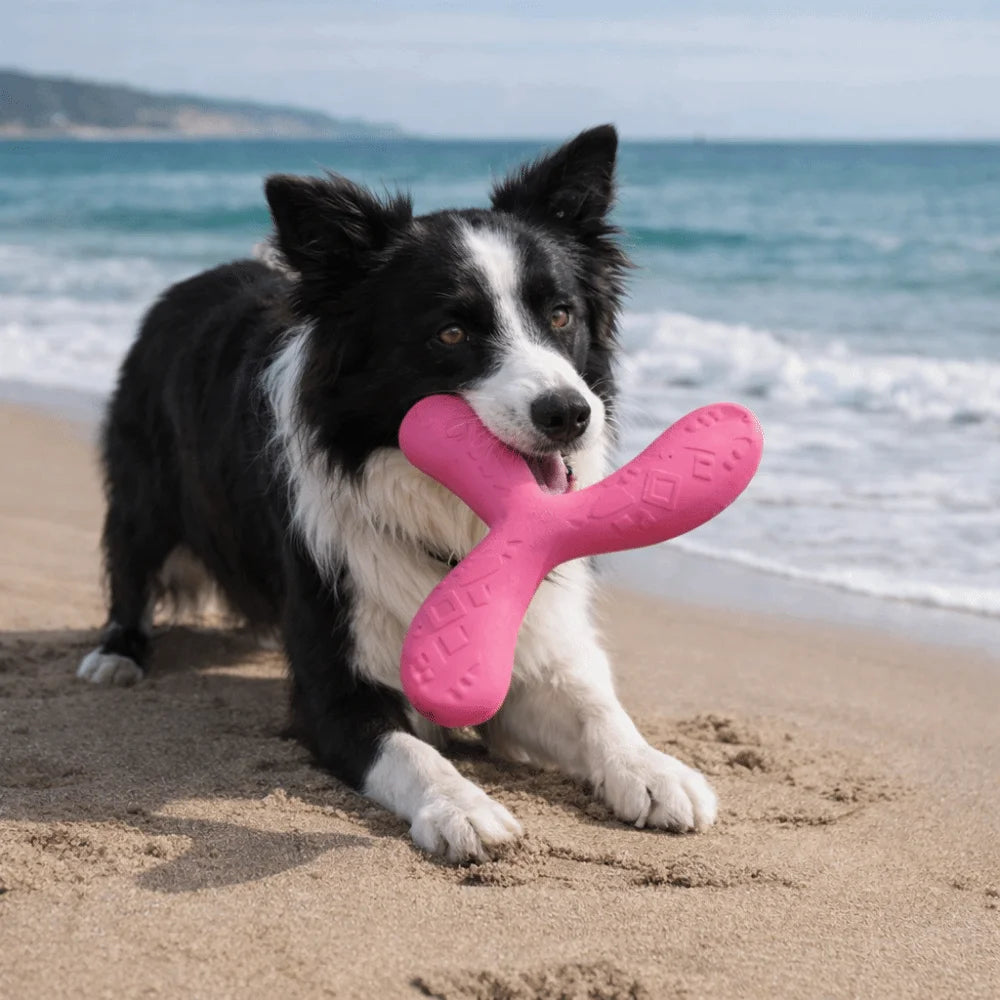 Disque volant flottant - chien