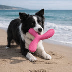 Disque volant flottant - chien