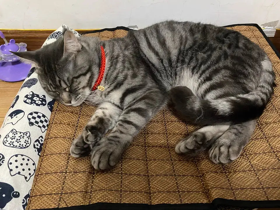 Tapis d’Été en Rotin avec Traversin