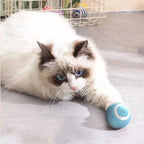 Jouet balle roulante automatique - chat
