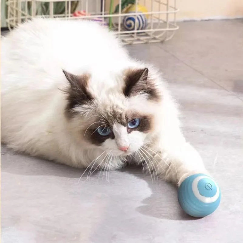 Jouet balle roulante automatique pour chat