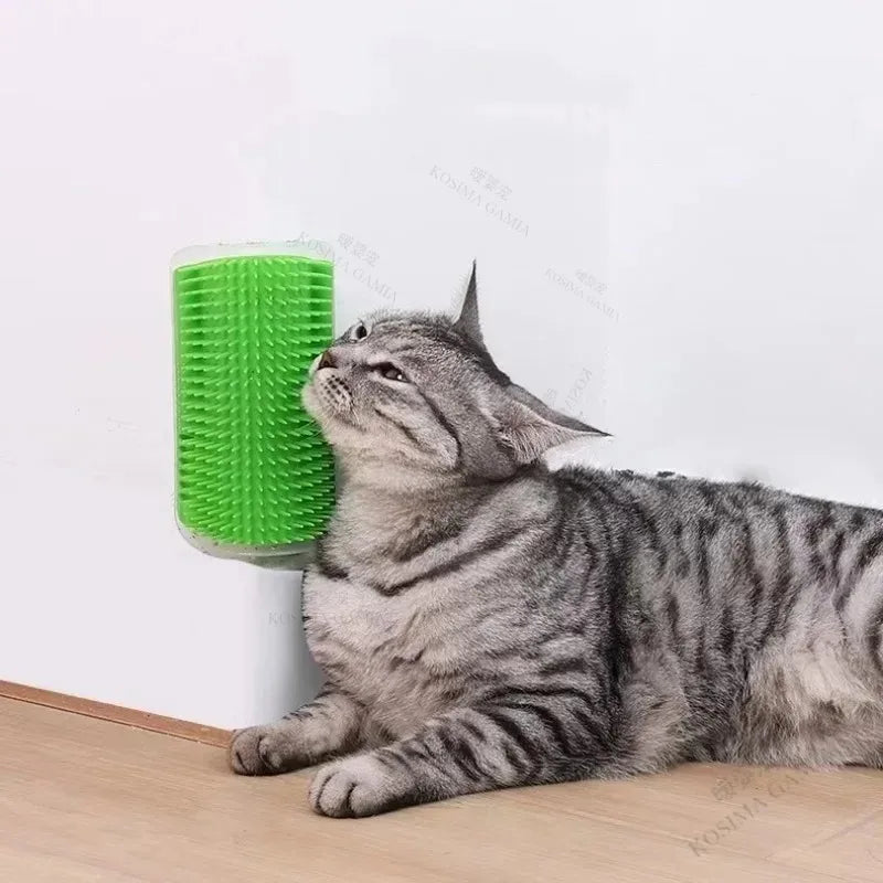 Brosse murale auto-toilettage pour chat