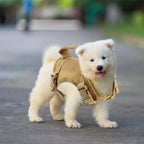 Harnais tactique robuste pour chat et petit chien