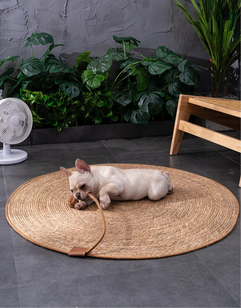 Tapis en Rotin pour Chat