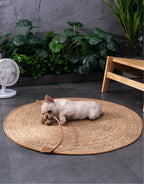 Tapis en Rotin pour Chat