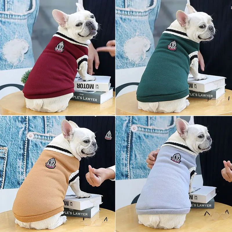 Pull d’hiver col V style collège - chien et chat