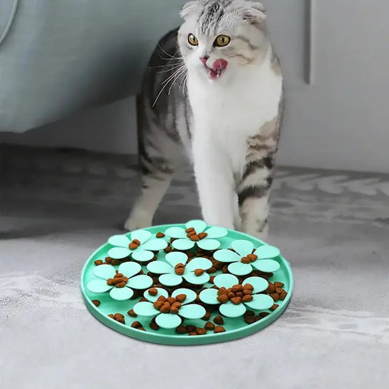 Puzzle d’alimentation lente pour chiot, petit chien et chat