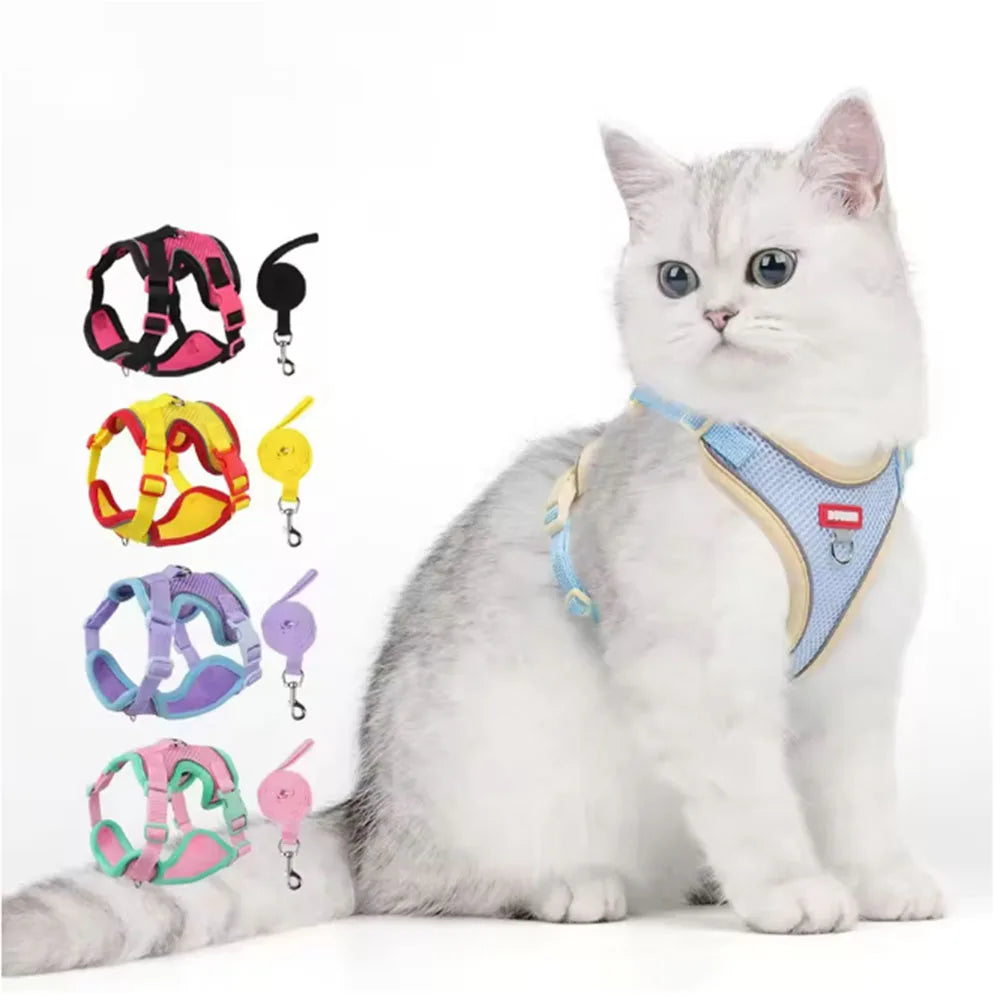 Harnais réfléchissant avec laisse - chat et petit chien