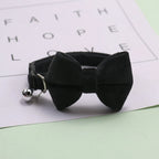 Collier en velours avec clochette et nœud papillon pour chat