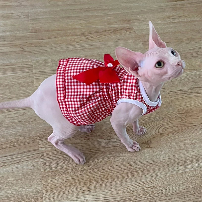 Robe d’été rayée pour chat