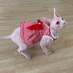 Robe d’été rayée pour chat