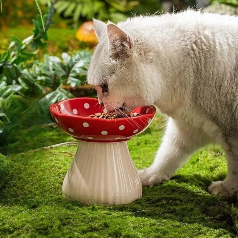 Bol champignon anti-glouton pour chat et chien