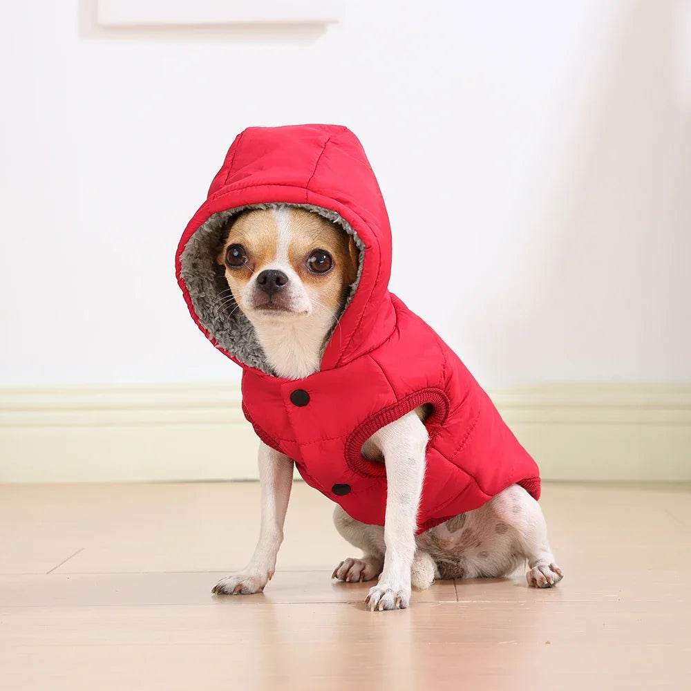 Veste d’Hiver à Capuche Imperméable pour Chien et Chat