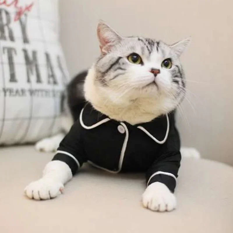 Chemise Légère pour Chat