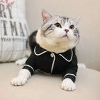 Chemise Légère pour Chat