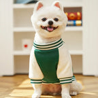 Veste baseball d’hiver - chien et chat