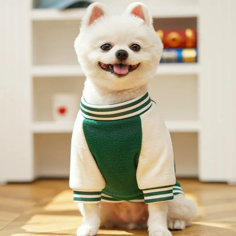 Veste baseball d’hiver - chien et chat