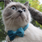 Collier en velours avec clochette et nœud papillon pour chat