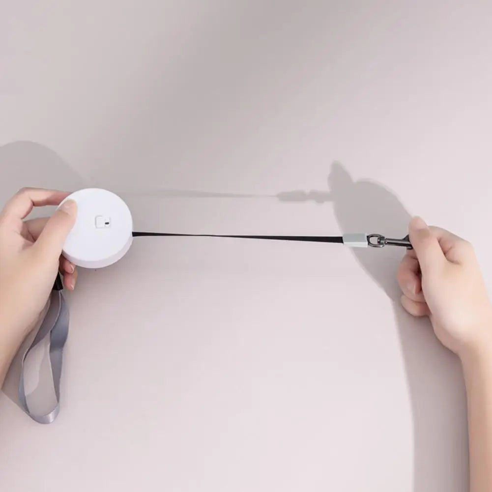 Laisse Rétractable Mini 2 m / 3 m pour Petit Chien, Chat et Chiot