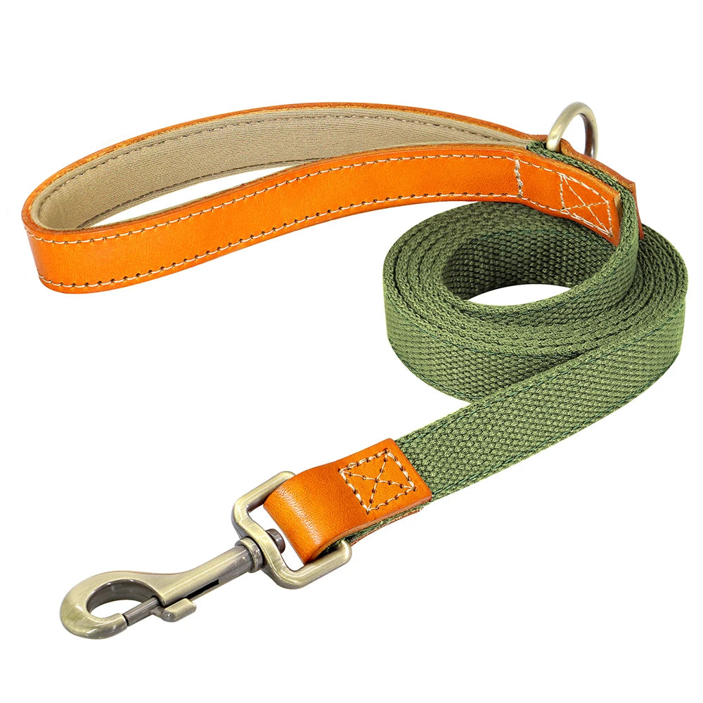 Laisse de marche nylon - chien