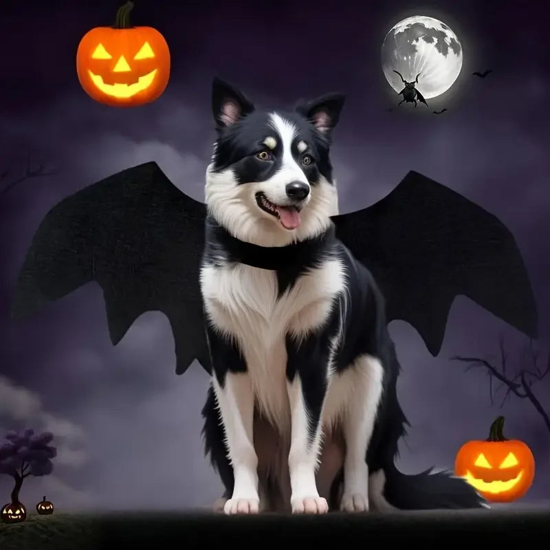 Ailes de chauve-souris Halloween - chien ou chat