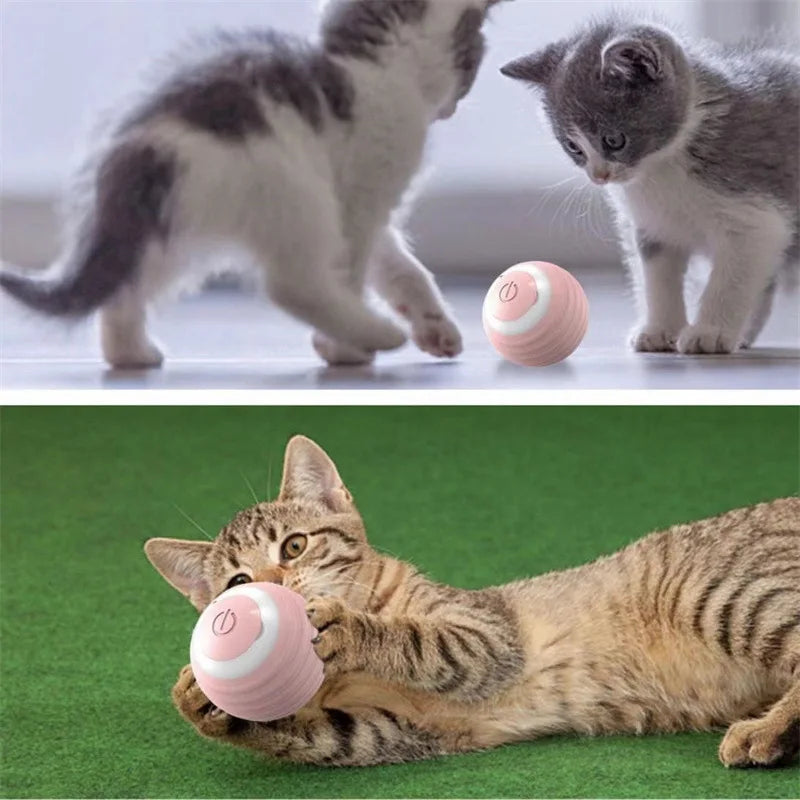 Jouet balle roulante automatique - chat