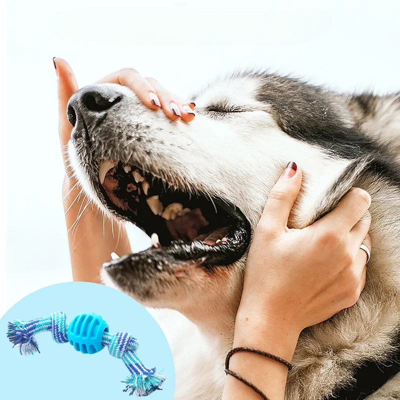 Balle avec corde en coton pour chiots & petits chiens