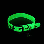 Collier lumineux - chat