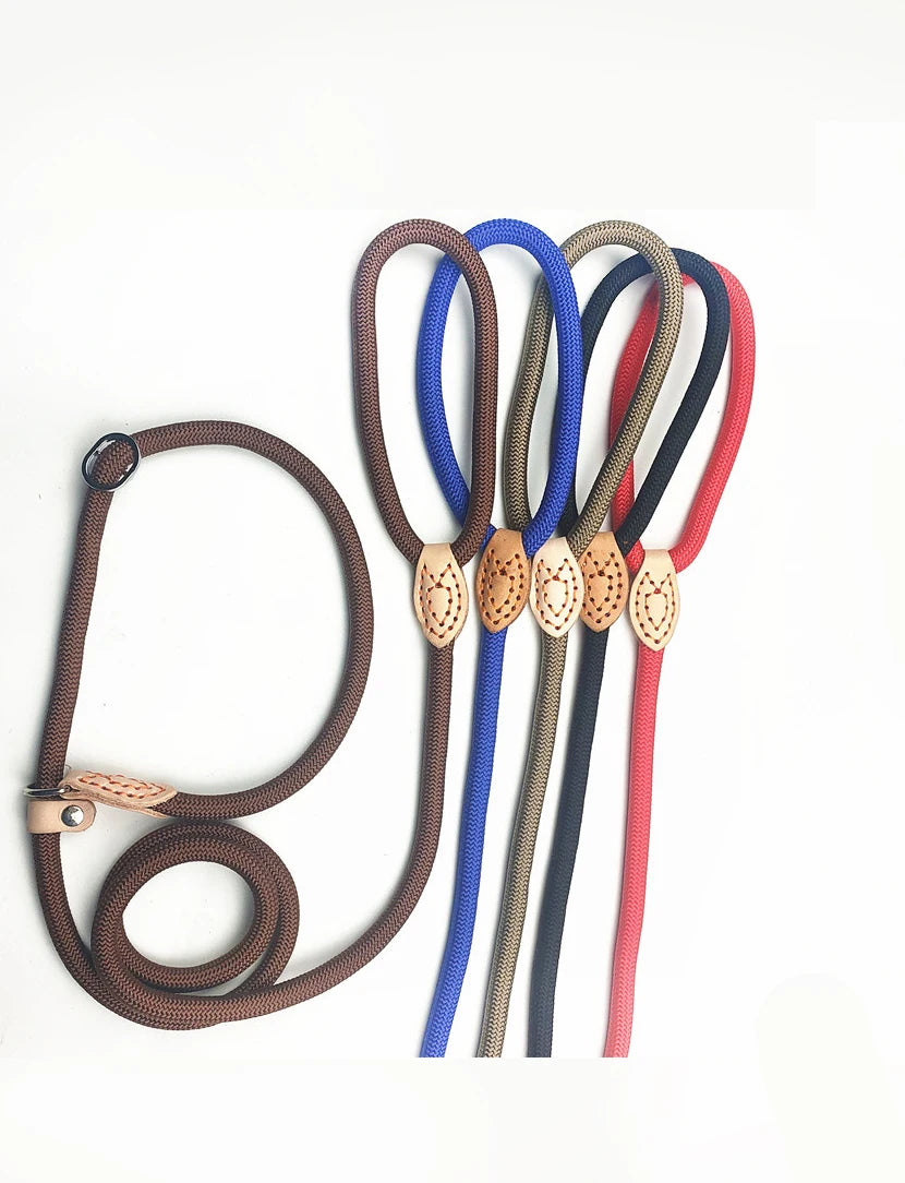 Laisse corde avec collier coulissant réglable pour chien