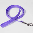 Laisse nylon - chat
