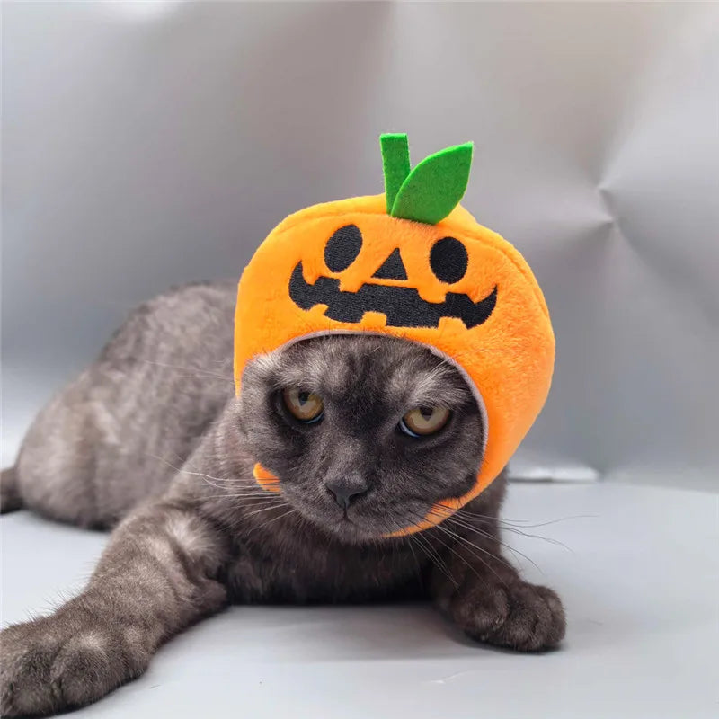 Chapeau Halloween - chat ou petit chien