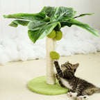 Griffoir palmier pour chat avec balle suspendue
