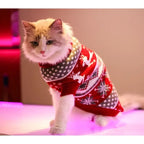 Pull de Noël col roulé pour chien & chat