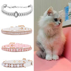 Collier perles et strass pour chat