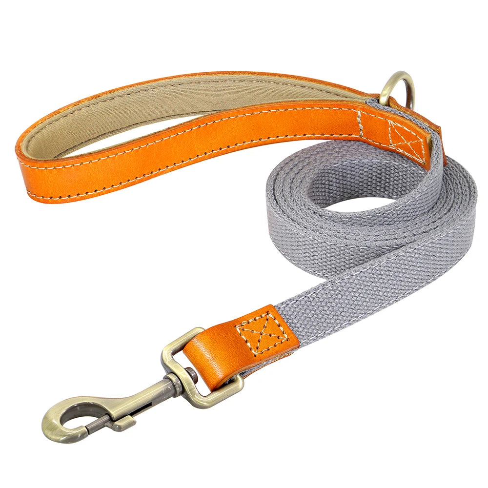 Laisse de marche nylon - chien