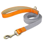 Laisse de marche nylon - chien
