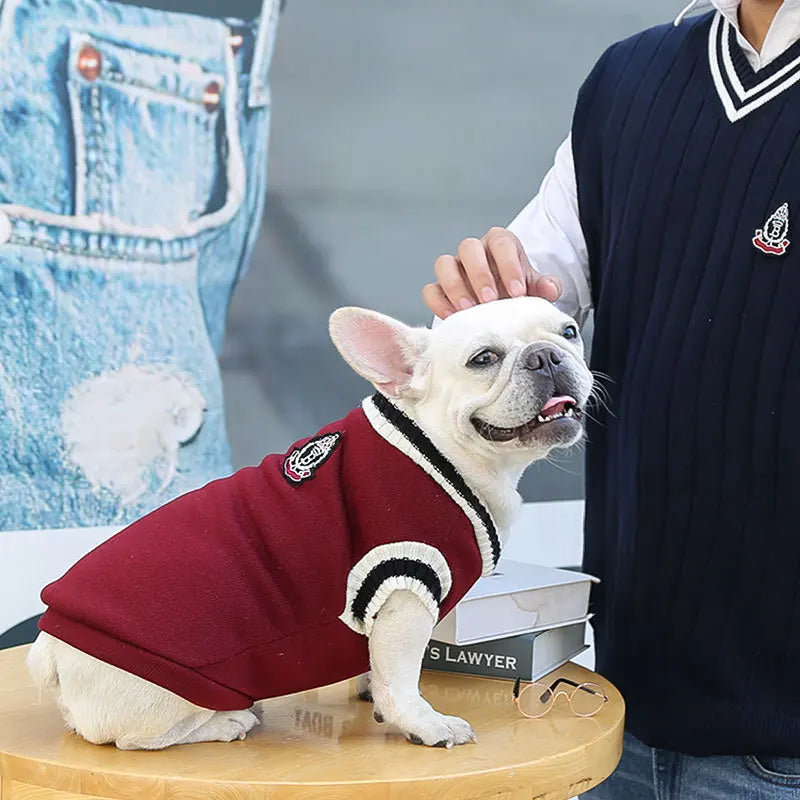 Pull d’hiver col V style collège - chien et chat