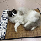 Tapis d’Été en Rotin avec Traversin