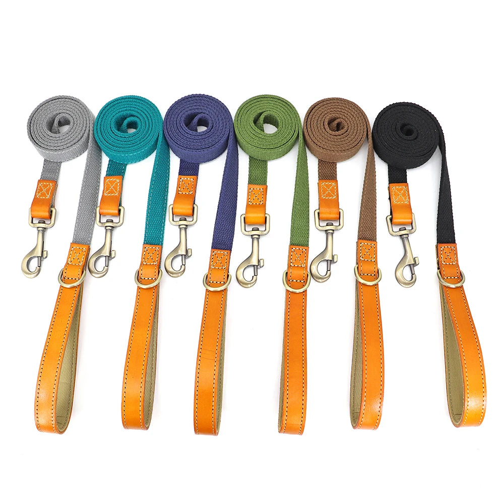 Laisse de marche en nylon avec poignée en cuir