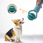 Jouet interactif à mâcher avec corde - chien
