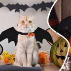 Ailes de chauve-souris Halloween - chien ou chat