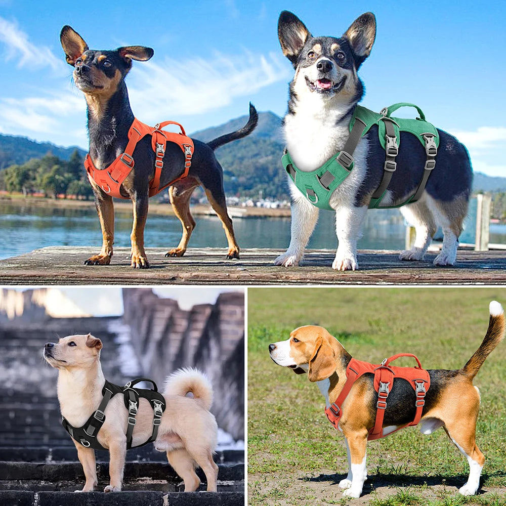 Harnais réfléchissant réglable pour chien avec poignée