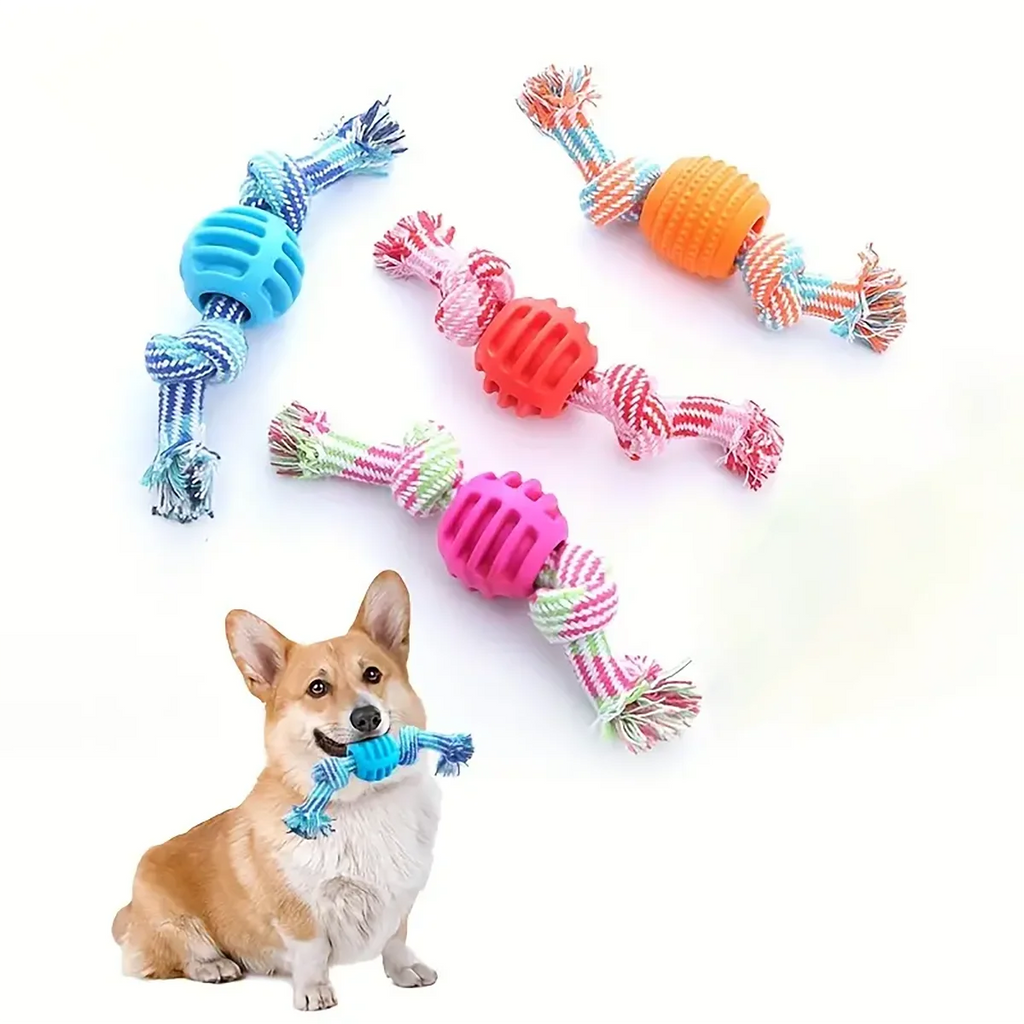 Jouet corde avec balle - chien