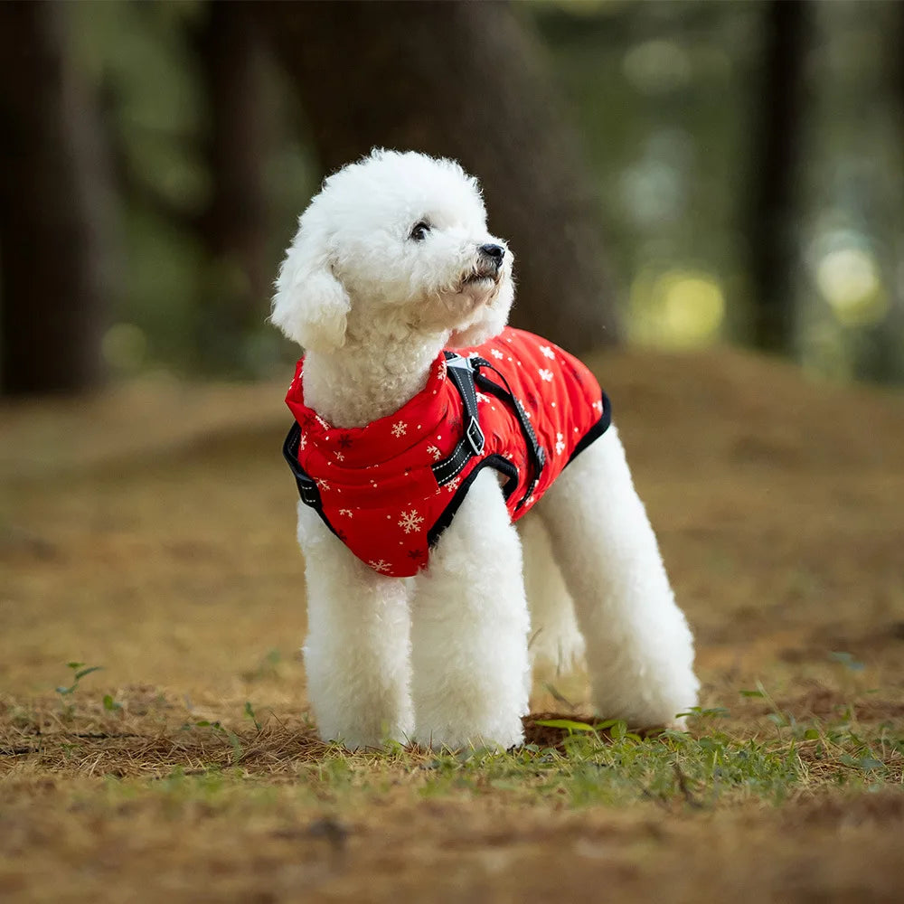 Manteau d’hiver hydrofuge pour chien