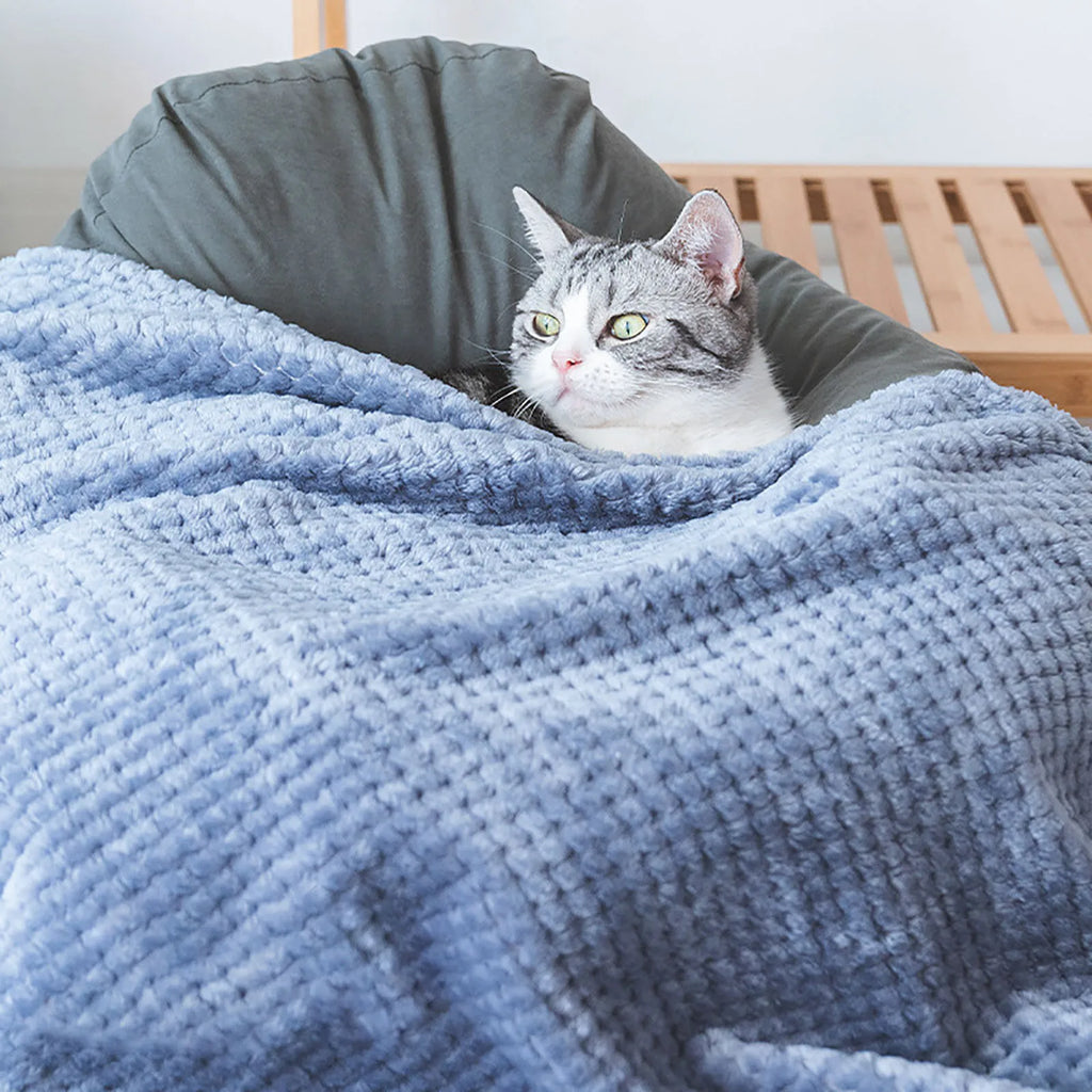Plaid doux uni pour chien et chat