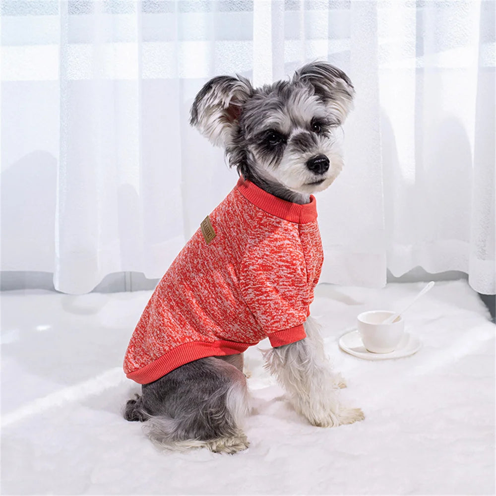 Pull classique d’hiver - chien ou chat