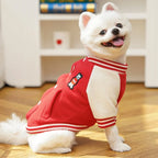 Veste baseball d’hiver - chien et chat